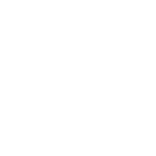 FJ International